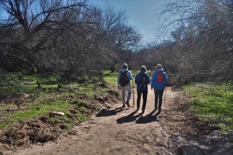 hikers